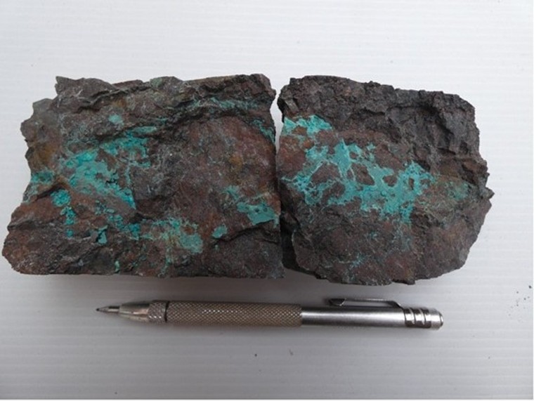 Camino intercepta 31 metros de 1,23% de cobre y 7,95 g/t de plata en un nuevo descubrimiento en el proyecto de cobre Los Chapitos