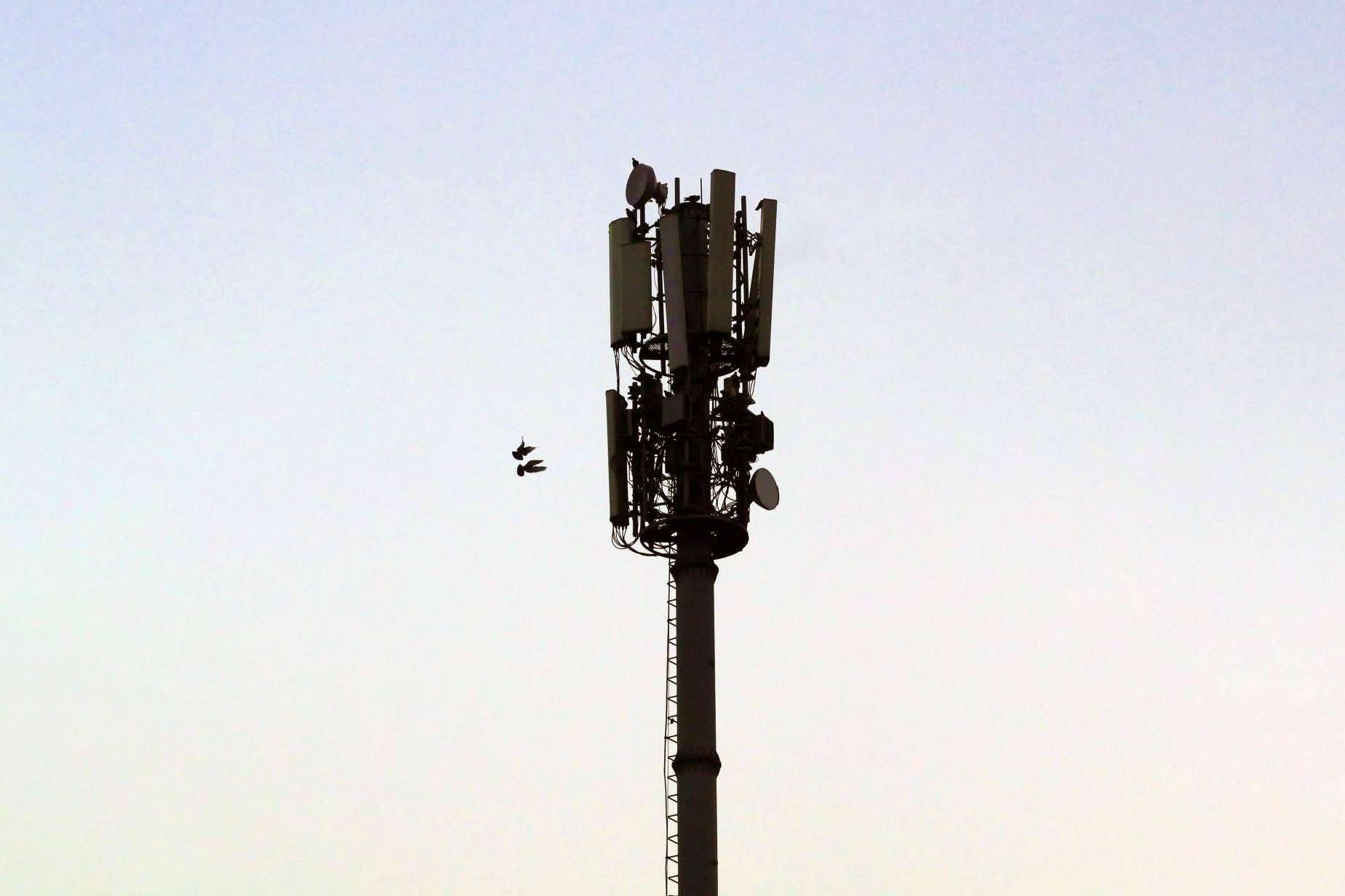 Iquall Networks acompaña el despliegue de 5G en Colombia