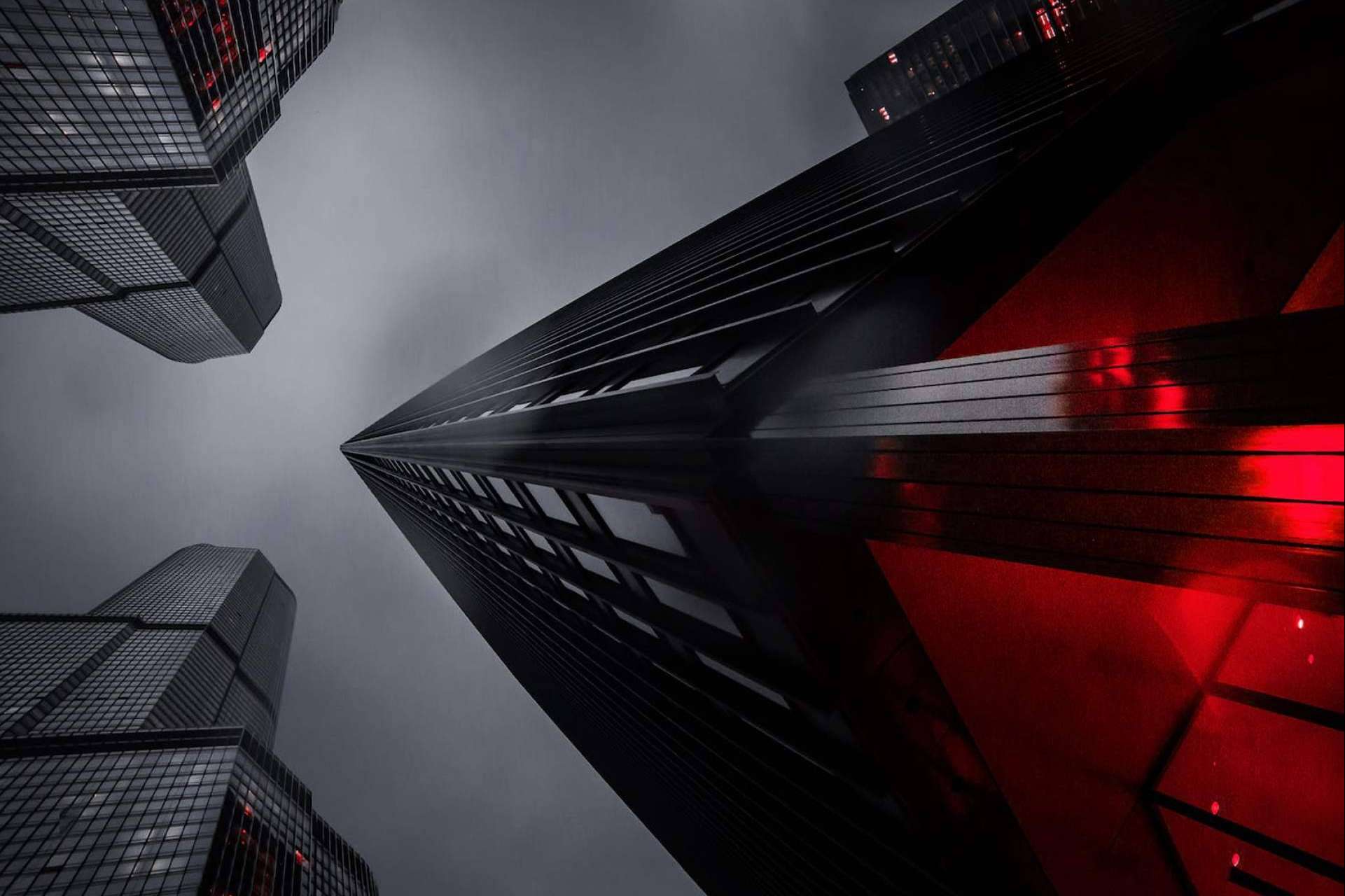XP Group Business Network, la plataforma que permite desarrollar negocios