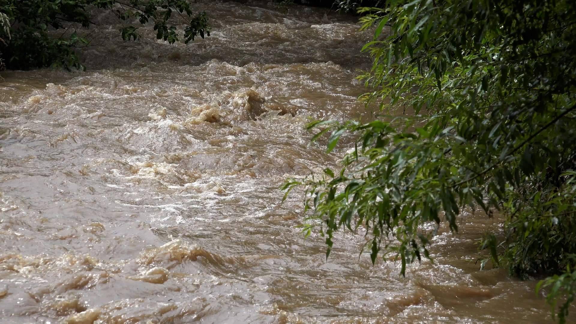 Noticias Ambientales explica qué es El Niño y por qué los expertos están hablando de él