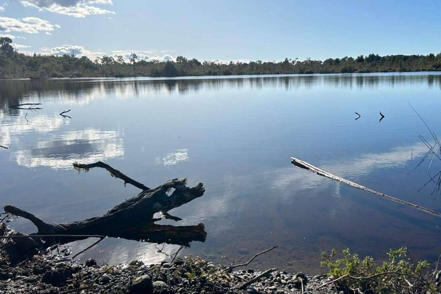 El proyecto Laguna Quemchi ofrece terrenos en zonas privilegiadas del sur de Chile