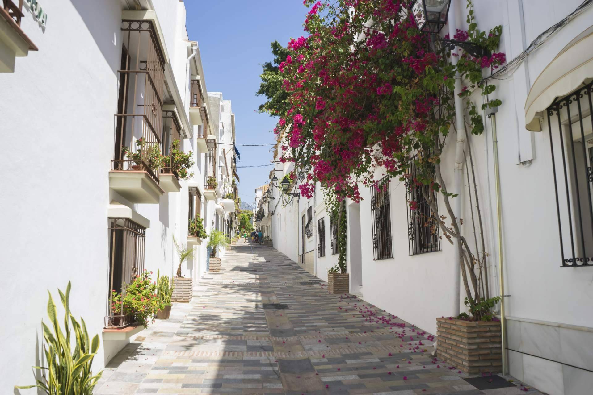 Casas en Marbella, la ciudad con diversidad cultural y prestigiosos centros educativos