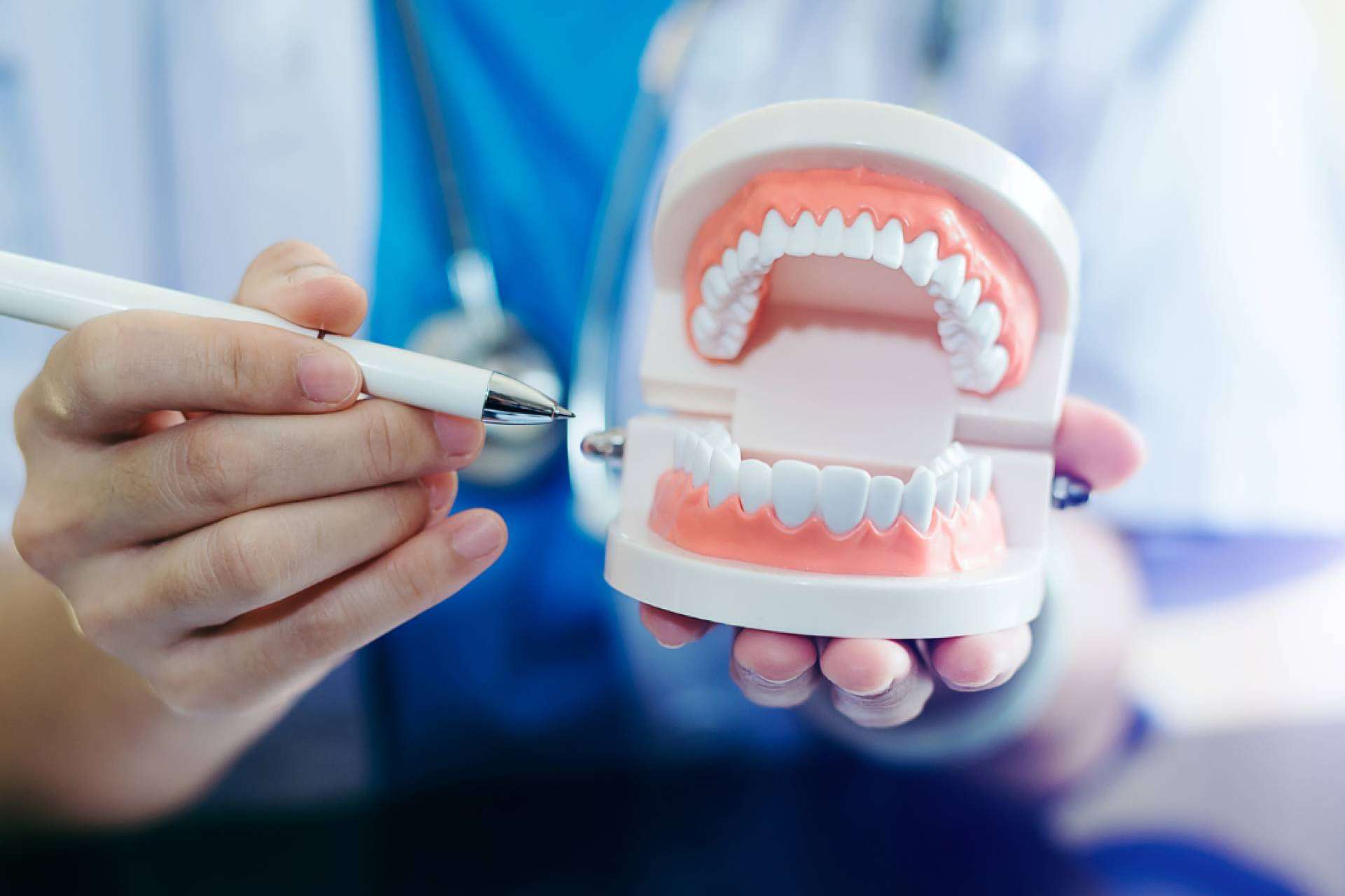 Desvelando si las células madre son una revolución en odontología