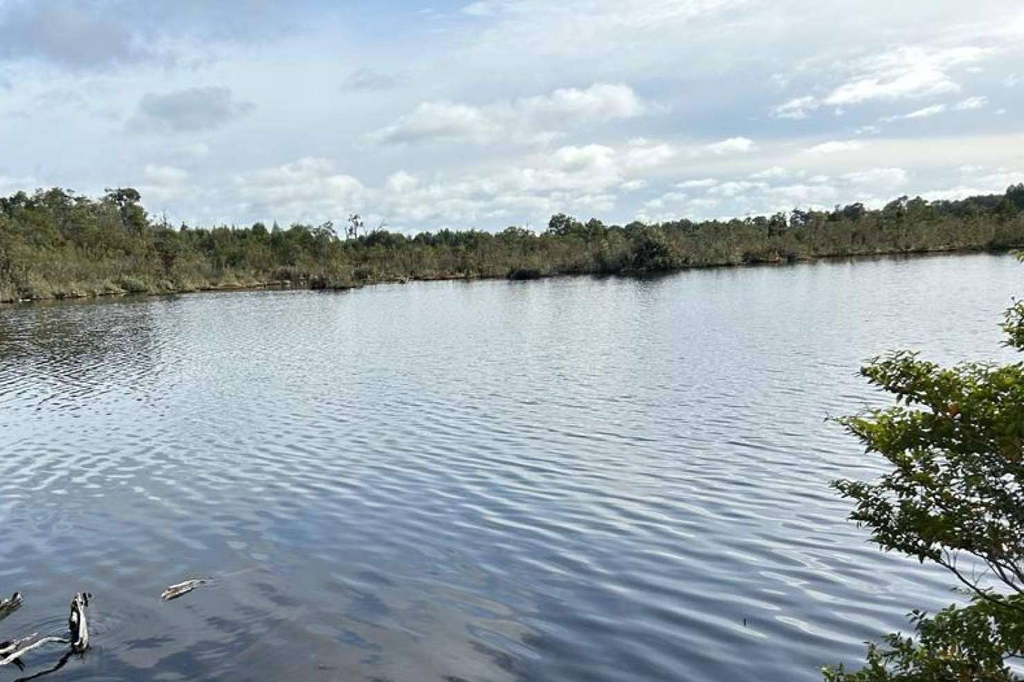 Latitudes Australes realiza proyectos de parcelas que permiten disfrutar de la tranquilidad y la belleza de Chiloé