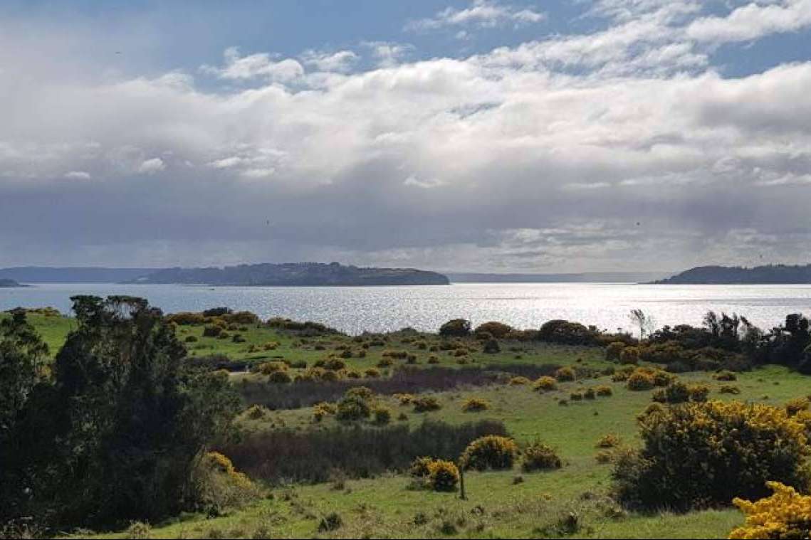 Latitudes Australes está redefiniendo el mercado de parcelas en el sur de Chile