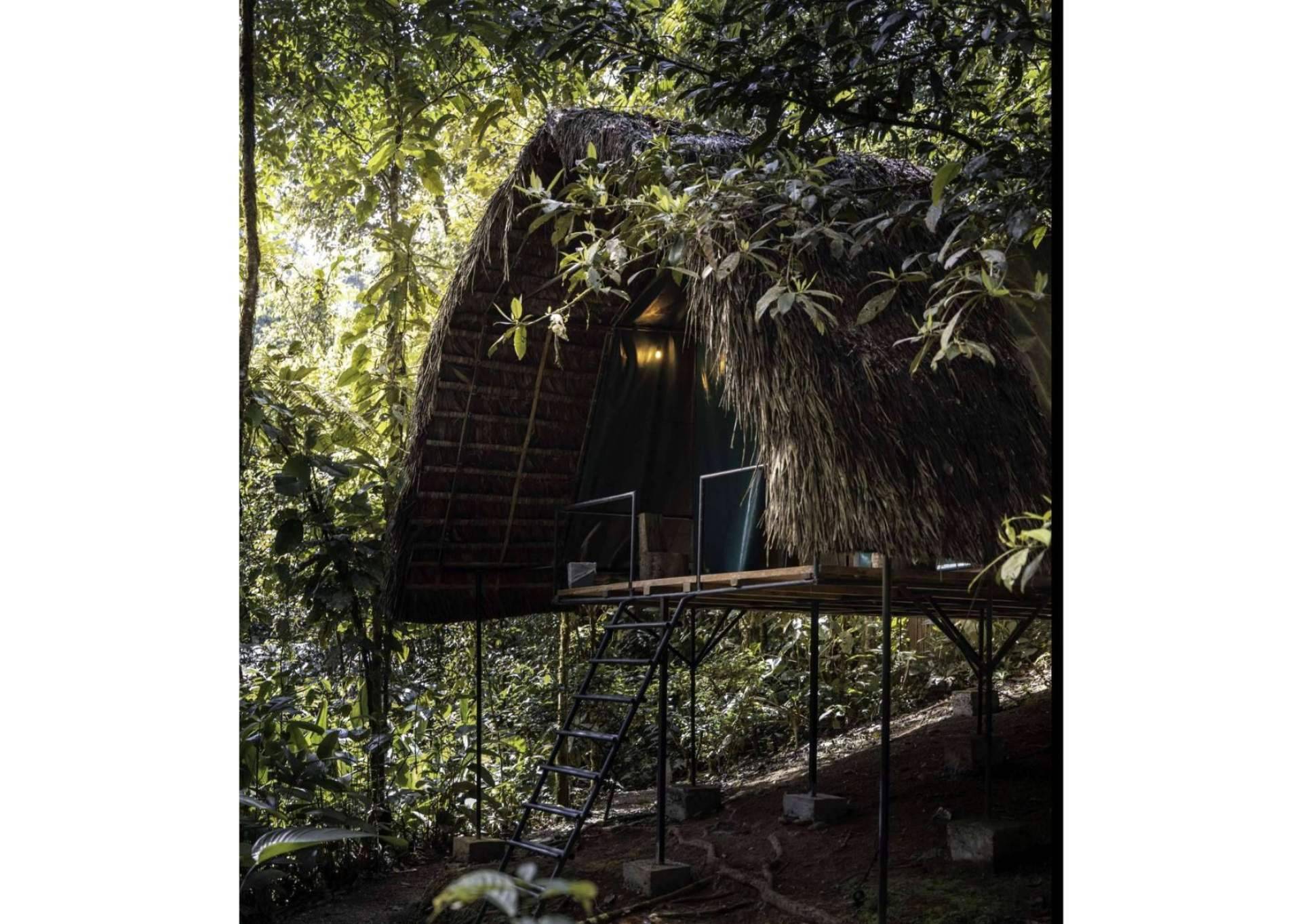 Conectar con la naturaleza de la Amazonía ecuatoriana con las tiendas de glamping de Hamadryade Lodge