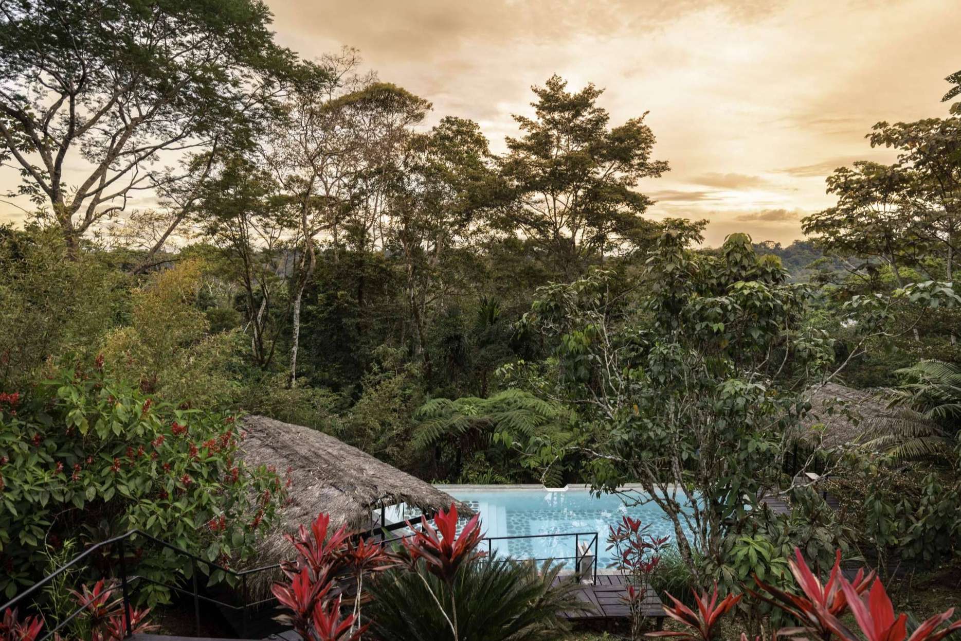 Vivir la Amazonía ecuatoriana como nunca antes con las suites bungalows de Hamadryade Lodge