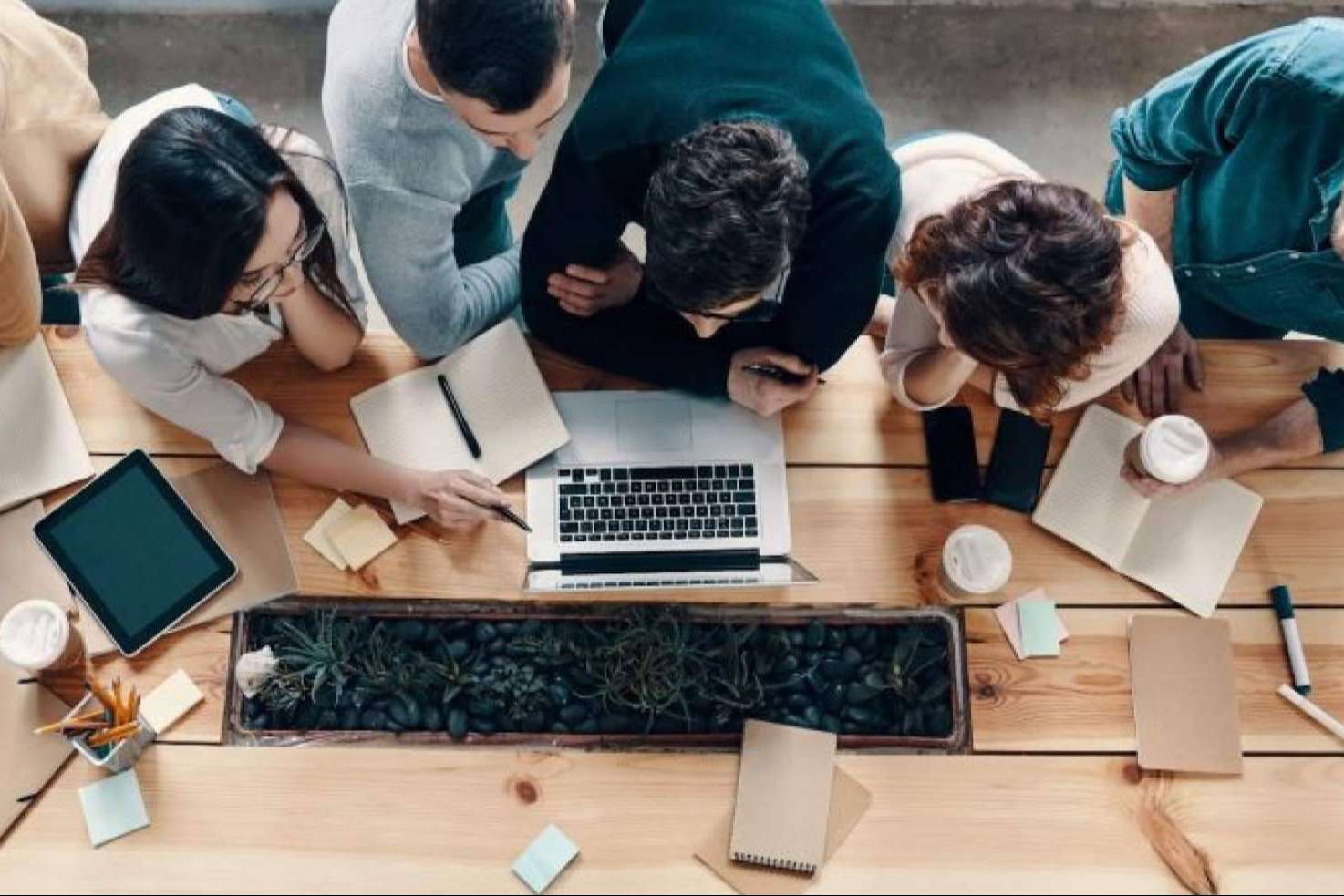 Crear alianzas estratégicas con studios y empresas de la industria webcam, por MaJu Studios